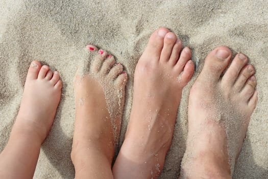feet of father mother and their daughters stand on the beach sand. united family on the holiday