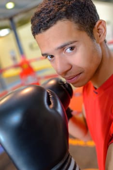 a young boxer