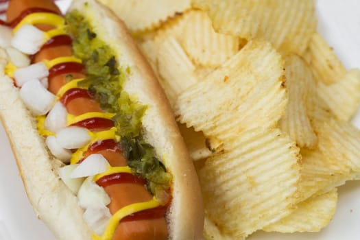 Veggie hot dog topped with mustard, ketchup, onions and relish, served with potato crisps (chips).