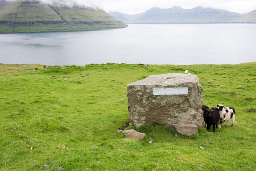 Varmakelda on Eysturoy on the Faroe Islands with sheep