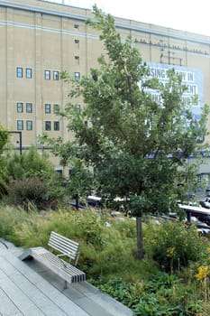 High Line. Elevated pedestrian Park and former elevated New York Central Railroad spur called the West Side Line, which runs along the lower west side of Manhattan  it has been redesigned and planted as an aerial greenway. New York City.