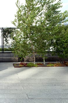 High Line. Elevated pedestrian Park and former elevated New York Central Railroad spur called the West Side Line, which runs along the lower west side of Manhattan  it has been redesigned and planted as an aerial greenway. New York City.