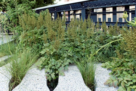 High Line. Elevated pedestrian Park and former elevated New York Central Railroad spur called the West Side Line, which runs along the lower west side of Manhattan  it has been redesigned and planted as an aerial greenway. New York City.
