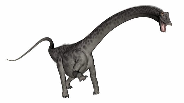 Diplodocus dinosaur head up in white background- 3D render