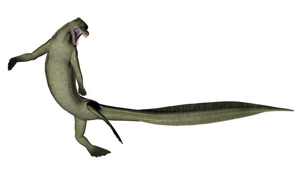 Mesosaurus dinosaur in white background- 3D render