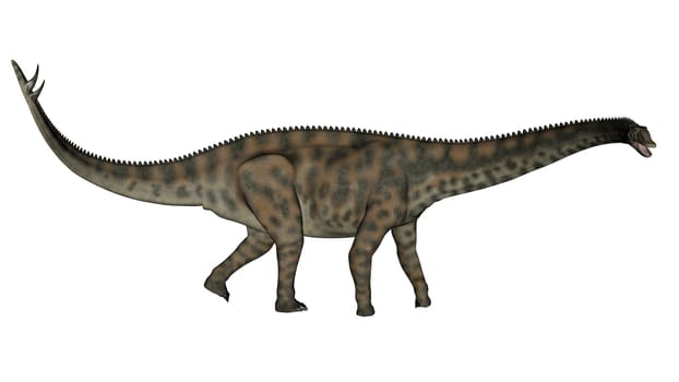 Spinophorosaurus dinosaur walking in white background- 3D render