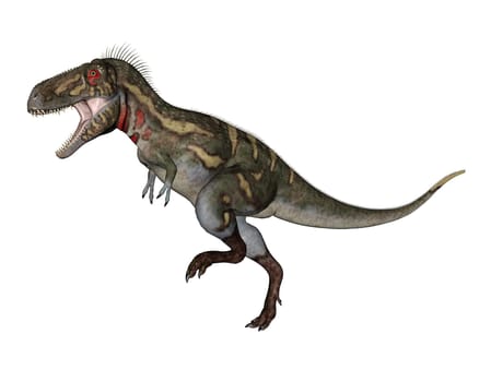 Nanotyrannus dinosaur walking in white background- 3D render