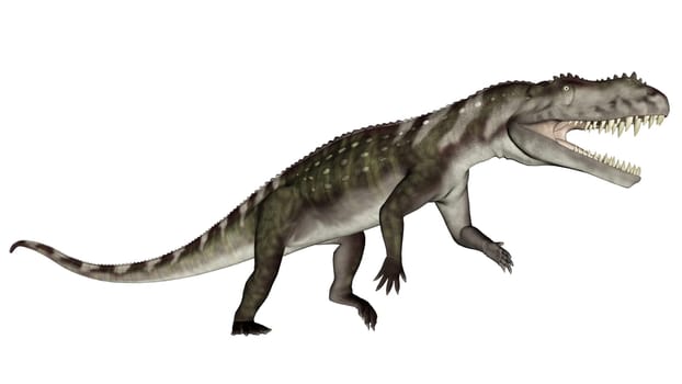 Prestosuchus dinosaur roaring in white background- 3D render