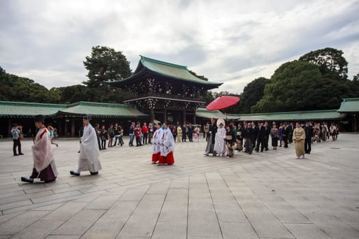 TOKYO, JAPAN - NOVEMBER 5
