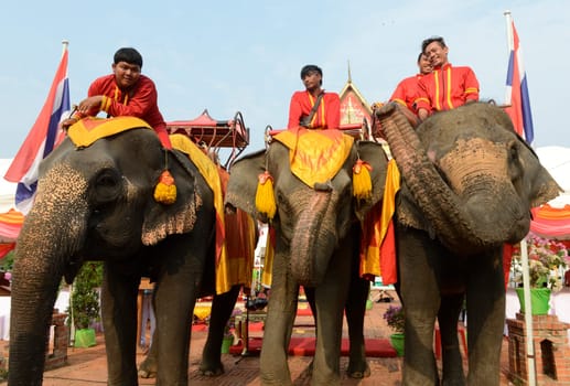 The Thai New Year or Songkran Festival or Water festival in the city of Ayutthaya north of Bangkok in Thailand in Southeastasia.