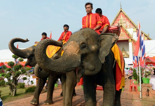 The Thai New Year or Songkran Festival or Water festival in the city of Ayutthaya north of Bangkok in Thailand in Southeastasia.