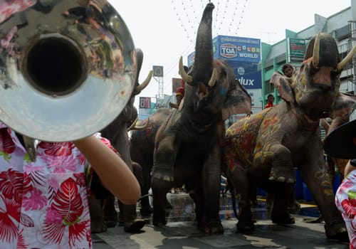 The Thai New Year or Songkran Festival or Water festival in the city of Ayutthaya north of Bangkok in Thailand in Southeastasia.