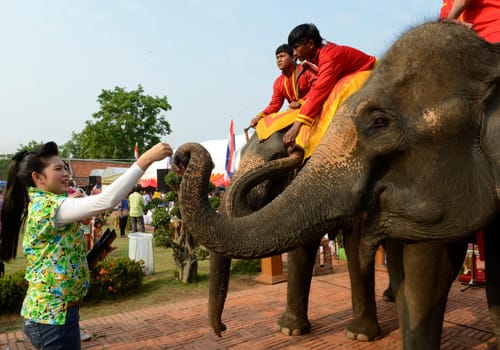 The Thai New Year or Songkran Festival or Water festival in the city of Ayutthaya north of Bangkok in Thailand in Southeastasia.