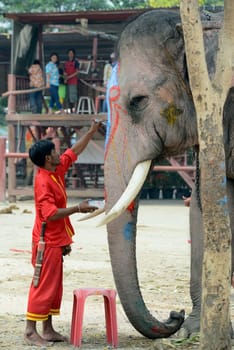 The Thai New Year or Songkran Festival or Water festival in the city of Ayutthaya north of Bangkok in Thailand in Southeastasia.