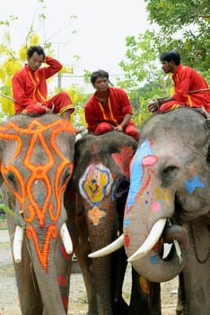 The Thai New Year or Songkran Festival or Water festival in the city of Ayutthaya north of Bangkok in Thailand in Southeastasia.