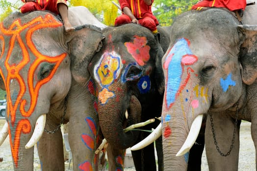The Thai New Year or Songkran Festival or Water festival in the city of Ayutthaya north of Bangkok in Thailand in Southeastasia.