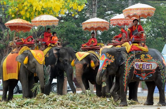 The Thai New Year or Songkran Festival or Water festival in the city of Ayutthaya north of Bangkok in Thailand in Southeastasia.