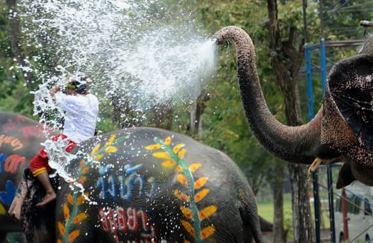 The Thai New Year or Songkran Festival or Water festival in the city of Ayutthaya north of Bangkok in Thailand in Southeastasia.