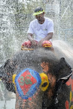 The Thai New Year or Songkran Festival or Water festival in the city of Ayutthaya north of Bangkok in Thailand in Southeastasia.