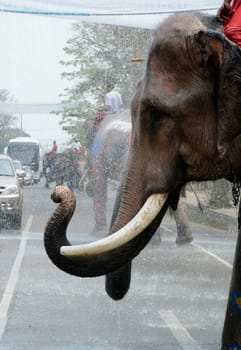 The Thai New Year or Songkran Festival or Water festival in the city of Ayutthaya north of Bangkok in Thailand in Southeastasia.