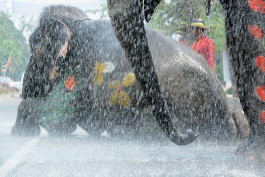 The Thai New Year or Songkran Festival or Water festival in the city of Ayutthaya north of Bangkok in Thailand in Southeastasia.