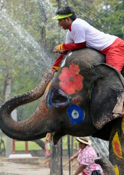 The Thai New Year or Songkran Festival or Water festival in the city of Ayutthaya north of Bangkok in Thailand in Southeastasia.