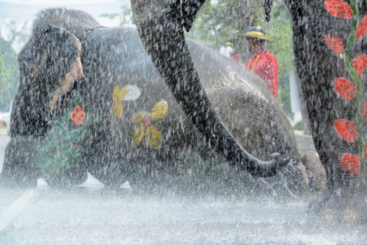 The Thai New Year or Songkran Festival or Water festival in the city of Ayutthaya north of Bangkok in Thailand in Southeastasia.