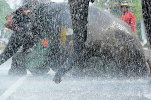 The Thai New Year or Songkran Festival or Water festival in the city of Ayutthaya north of Bangkok in Thailand in Southeastasia.
