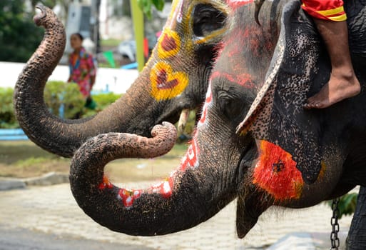 The Thai New Year or Songkran Festival or Water festival in the city of Ayutthaya north of Bangkok in Thailand in Southeastasia.