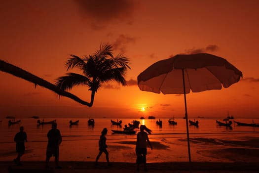 the Beach at Hat Sai Ri on thel Ko Tao Island in the Gulf of Thailand in the southeast of Thailand in Southeastasia.