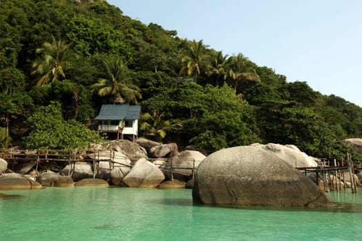 the smal Island of  Ko Nang Yuan near the Ko Tao Island in the Gulf of Thailand in the southeast of Thailand in Southeastasia.