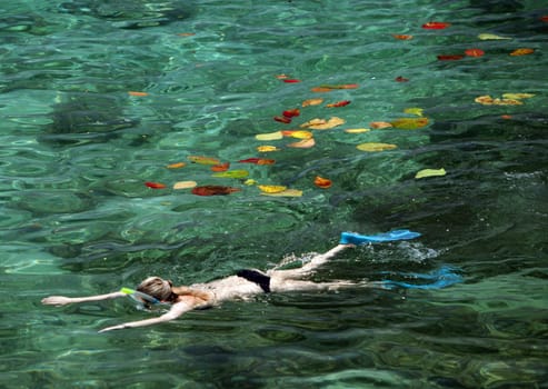 the Cape Je Ta Gang Beach on the Ko Tao Island in the Gulf of Thailand in the southeast of Thailand in Southeastasia.