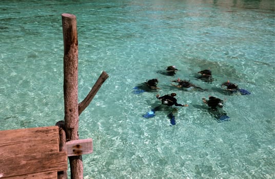 the smal Island of  Ko Nang Yuan near the Ko Tao Island in the Gulf of Thailand in the southeast of Thailand in Southeastasia.