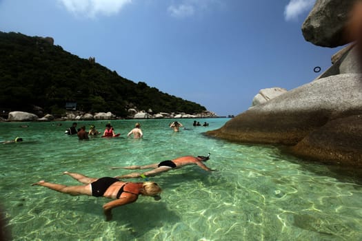 the smal Island of  Ko Nang Yuan near the Ko Tao Island in the Gulf of Thailand in the southeast of Thailand in Southeastasia.