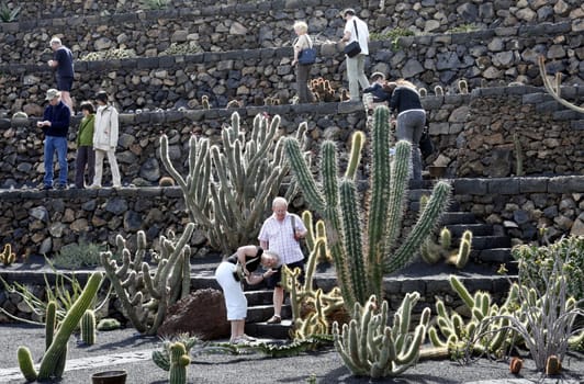 The Cactus Garden in the village of Guatiza on the Island of Lanzarote on the Canary Islands of Spain in the Atlantic Ocean. on the Island of Lanzarote on the Canary Islands of Spain in the Atlantic Ocean..
