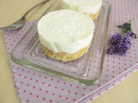 Yoghurt-coconut cake with cookie crumb bottom as cake without baking