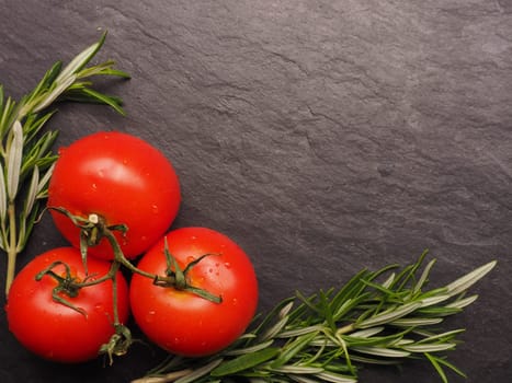 Fresh red tomatoes with rosemary twigs on a dark slate background