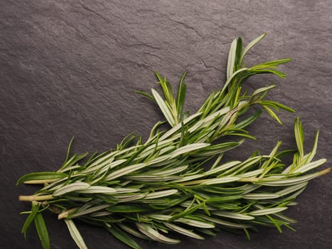 Fresh twigs of rosemary on a dark slate background with space for text