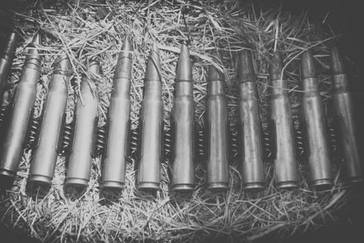 ammo to machine guns on grass,black and white