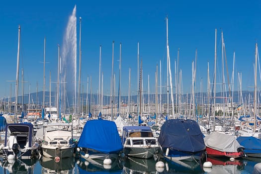 Who counts the boats
