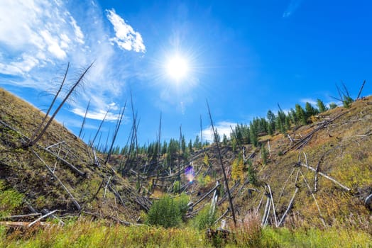 Landscape view of Yellowstone National Park looking directly into the sun