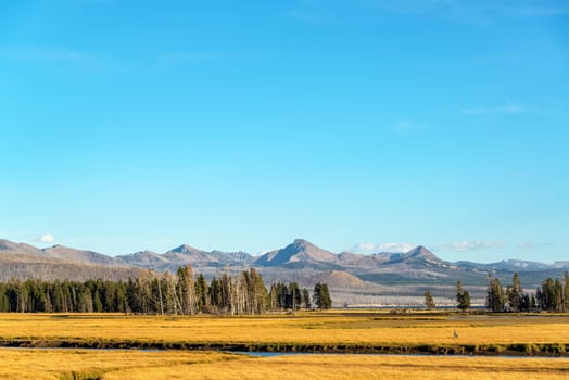 Valley and mountains view in Yellowstone National Park