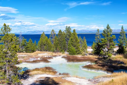 Landscape view of the West Thumb Geyser Basin with Yellowstone Lake in the background at Yellowstone National Park