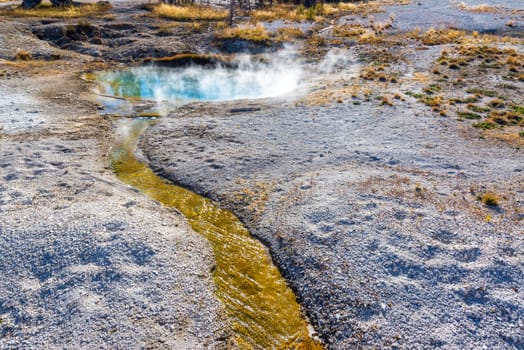 Stream and steaming pool in West Thumb Geyser Basin in Yellowstone National Park