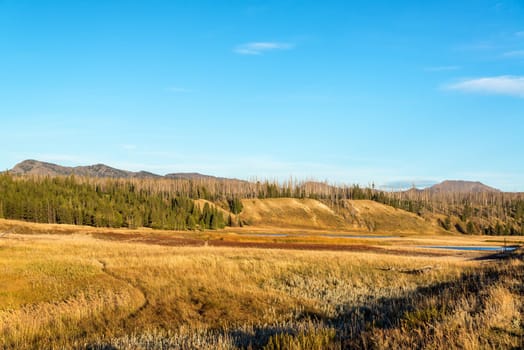 Pelican Valley landscape view at Yellowstone National Park in Wyoming, USA