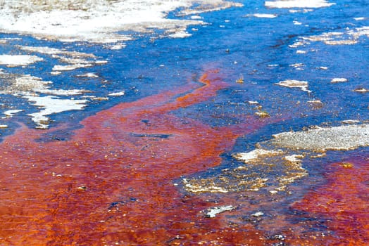 Colorful red bacteria mat at West Thumb Geyser Basin in Yellowstone National Park