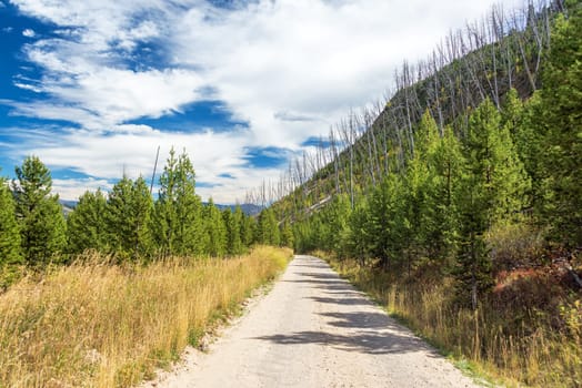 View of a dirt road in Yellowstone National Park in Wyoming, USA