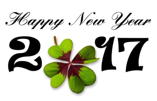 2017- Numbers and cloverleaf