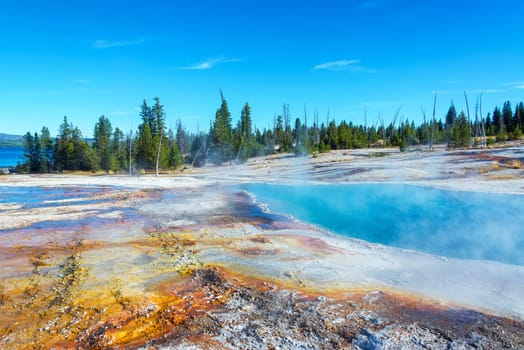 Steam rising out of Black Pool in West Thumb Geyser Basin in Yellowstone National Park