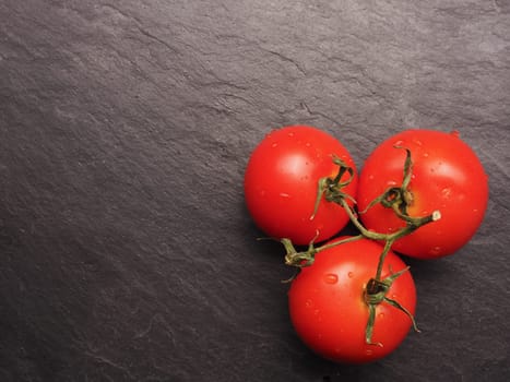 Three fresh organic tomatoes on a dark slate background with space for text